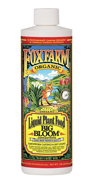 FoxFarm Big Bloom Liquid Concentrate - 1 Pint 