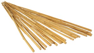 HydroFarm 2 Foot Bamboo Stakes Natural Pack of 25 