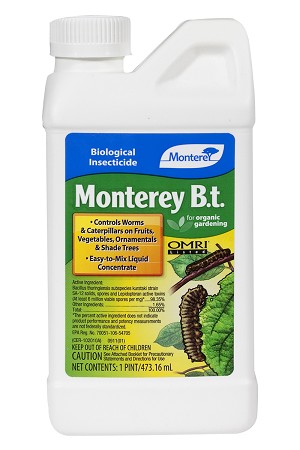 Monterey Garden B.t. 1 Pint 