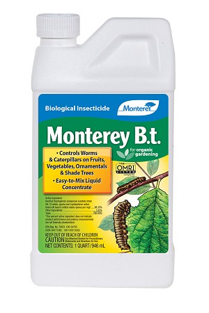 Monterey Garden B.t. 1 Quart 