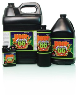 Technaflora ROOT 66 1-1-1 1 L 